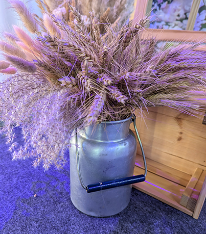 Petit Pot à Lait Ancien